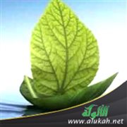 الإيمان هو الحياة