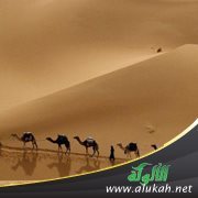 من دروس الهجرة النبوية المباركة