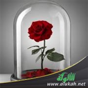 في بيتك جميلة!