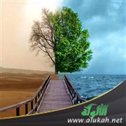 أرواح متآلفة وأخرى متنافرة