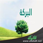 آيات عن البركة