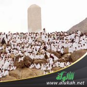 اثنتا عشرة فضيلة ليوم عرفة، وأحكام الأضحية              