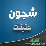 شجون عتيقات (قصيدة)
