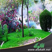 حدائق الجنة