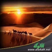 يا معشر الأنصار ألم أجدكم ضلالا فهداكم الله بي؟