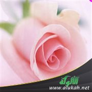 معنى السعادة الزوجية