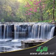 أنهار الجنة