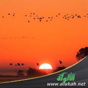 خطبة عن هجرة النبي صلى الله عليه وسلم وحياته