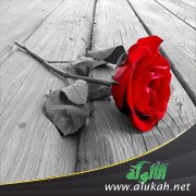 هل أصبر على هذا الزواج؟