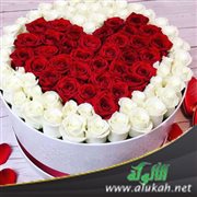 قلوب خارج خارطة الأشياء