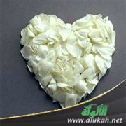 رحلة قلب
