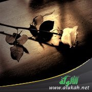 التدليل الزائد سيفسد ابني