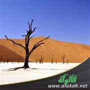 قضاء الحاجة: آداب وأحكام وعبر