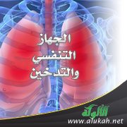 الجهاز التنفسي والتدخين