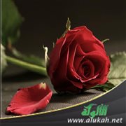 من الكبائر الشائعة (7) هجر المرأة فراش زوجها وكفرانها إحسانه