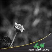 لا أحد يحبني وليس لدي صديقات