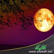 ليلة هاربة من ليلها (قصيدة)