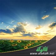 الله تعالى لا يظلم عباده