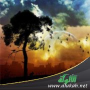 أشك في خطيبي مع أنه حسن الخلق!