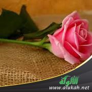 الاسترواح بالنزهة