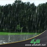 هدي النبي صلى الله عليه وسلم عند نزول الأمطار