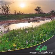 مجلوة في حلة خضراء