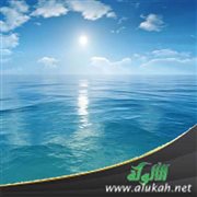 تخريج حديث: هو الطهور ماؤه الحل ميتته