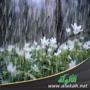 فمطرنا يومنا ذلك (خطبة) (2)