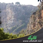 عكا ما بين 585 - 587 هـ