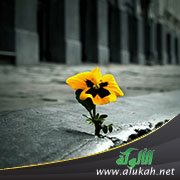 لا تمنعوا إماء الله مساجد الله