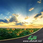 الاستسلام لله (خطبة)