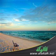 على شاطئ الحياة (2)