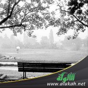 أحببته وتركني فماذا أفعل؟