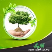 مفهوم الدعوة