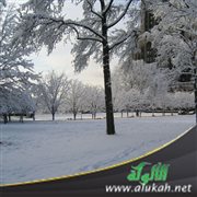خواطر شتوية