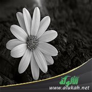 إحساس الزواج يعاودني رغم تأخره