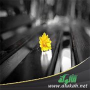 ليست لدي علاقة عاطفية وأشعر بالوحدة