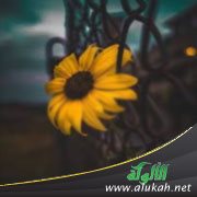 أخاف من انتقال طبع أمي إلي