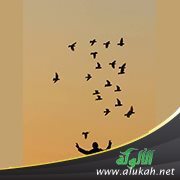 الرزق في القرآن الكريم ومضامينه التربوية