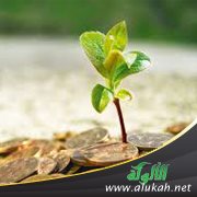 من أولويات العمل الخيري