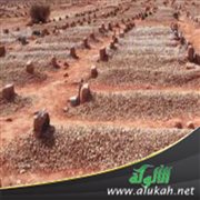 وصية المسلم بتجهيزه ودفنه على السنة عند كثرة البدع