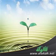 هكذا أحببنا الحياة