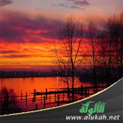 راوية المساء (قصيدة)