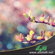 الاحترام ينهار بيني وبين زوجي