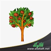 الهدف من إنجاب الأبناء