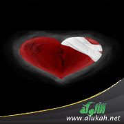 أحببت ابن خالتي وخطبني أخوه