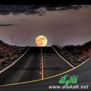 وعدت إلى الطريق