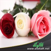 زوجي وزوجته الأولى