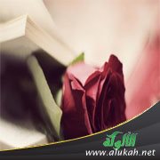زوجتي قليلة الجمال