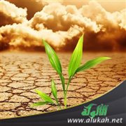 منهج شرعي عند المصائب